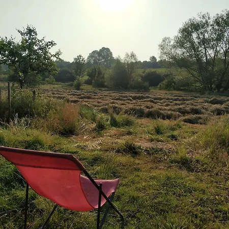 Au Coeur De L'ardenne - Peaceful Loft Apartment Baelen