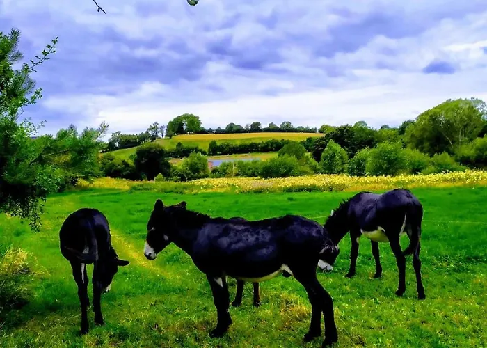 Au Coeur De L'ardenne - Peaceful Loft